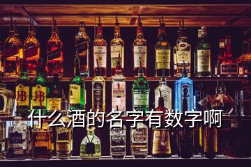 什么酒的名字有数字啊