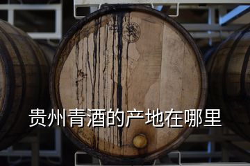 贵州青酒的产地在哪里