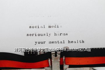 洋河蓝色经典梦之蓝怎么区分M3M6M9和5A级