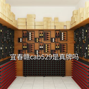 宜春赣cab529是真牌吗