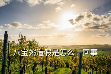 八宝粥造假是怎么一回事