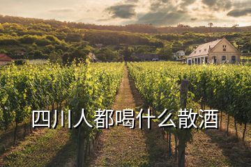 四川人都喝什么散酒