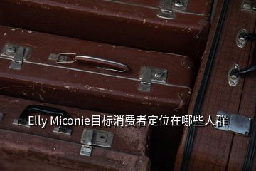 Elly Miconie目标消费者定位在哪些人群