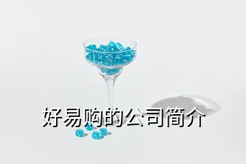 好易购的公司简介