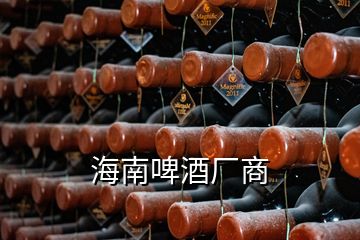 海南啤酒厂商