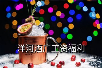 洋河酒厂工资福利