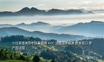 小拉菲堡美乐干红葡萄酒 AOC 法国国家级酒 原装进口 原产国法国