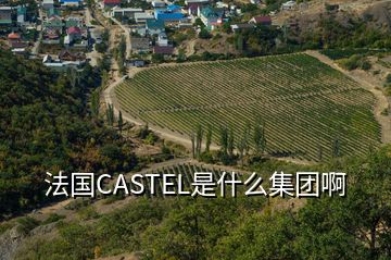 法国CASTEL是什么集团啊