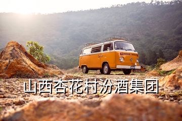 山西杏花村汾酒集团
