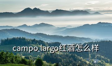 campo largo红酒怎么样