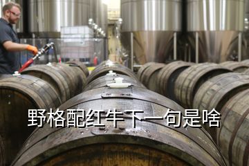 野格配红牛下一句是啥