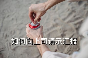 如何向上司请示汇报