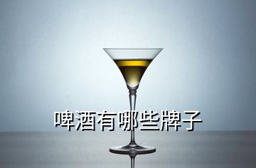 啤酒有哪些牌子