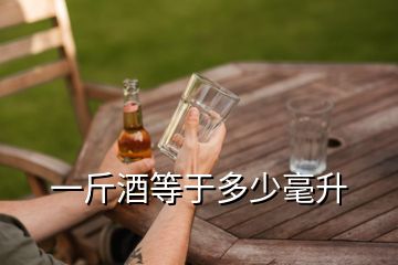 一斤酒等于多少毫升