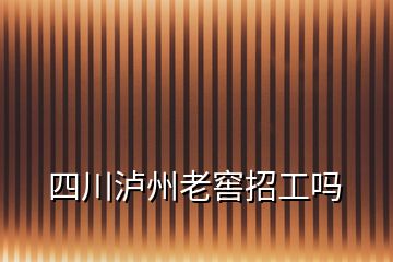 四川泸州老窖招工吗