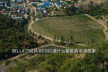 BELLA ITALIA ROSSO是什么葡萄酒 非常感谢