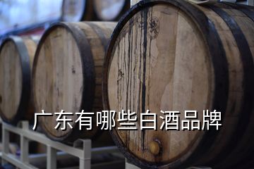 广东有哪些白酒品牌