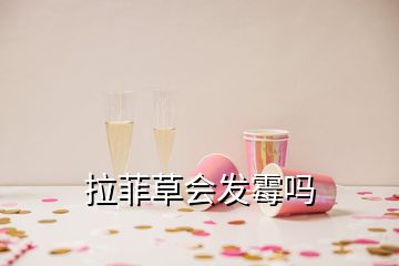 拉菲草会发霉吗