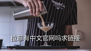 拉菲有中文官网吗求链接