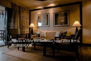 chateau le cone aoc bordeaux rouge 2009 是什么酒口感如何大概