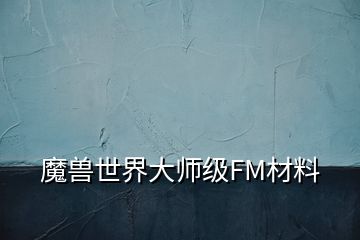 魔兽世界大师级FM材料