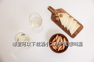 哪里可以下载酒小二APP呢想叫酒