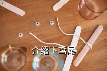 介绍下鸢尾