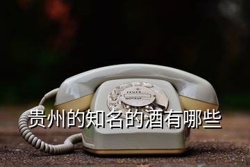贵州的知名的酒有哪些