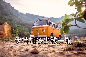 伏特加多少钱一瓶