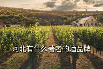 河北有什么著名的酒品牌