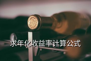 求年化收益率计算公式