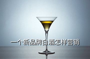 一个新品牌白酒怎样营销