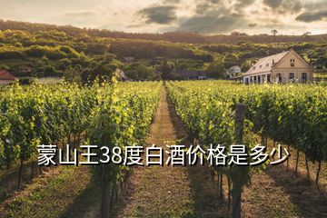 蒙山王38度白酒价格是多少