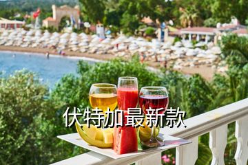 伏特加最新款