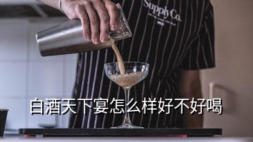 白酒天下宴怎么样好不好喝