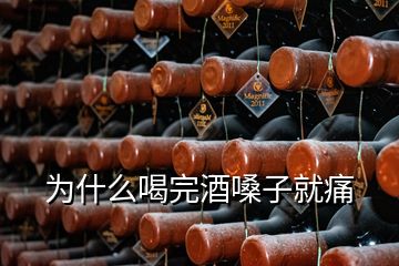 为什么喝完酒嗓子就痛