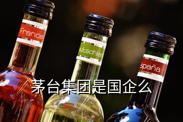 茅台集团是国企么