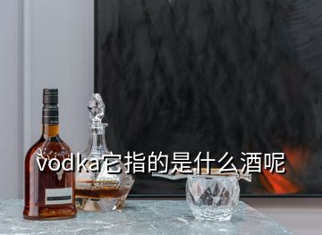 vodka它指的是什么酒呢