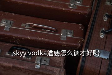 skyy vodka酒要怎么调才好喝