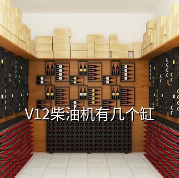 V12柴油机有几个缸