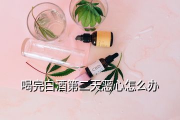 喝完白酒第二天恶心怎么办