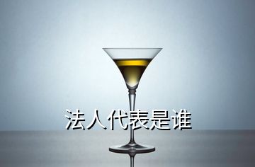 法人代表是谁