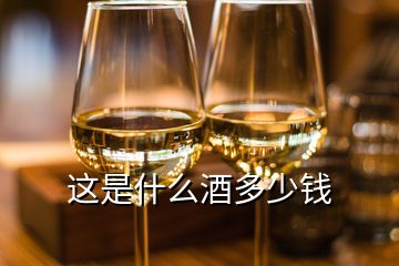 这是什么酒多少钱