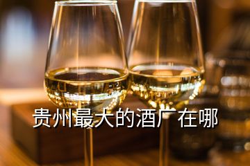 贵州最大的酒厂在哪