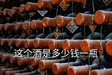 这个酒是多少钱一瓶
