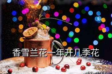 香雪兰花一年开几季花