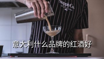 意大利什么品牌的红酒好