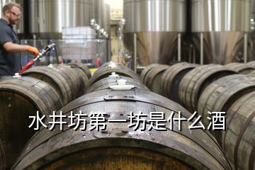 水井坊第一坊是什么酒