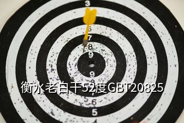 衡水老白干52度GBT20825