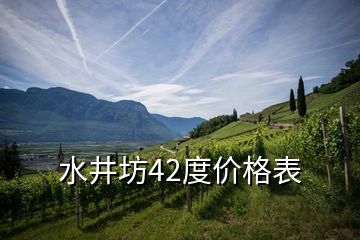 水井坊42度价格表